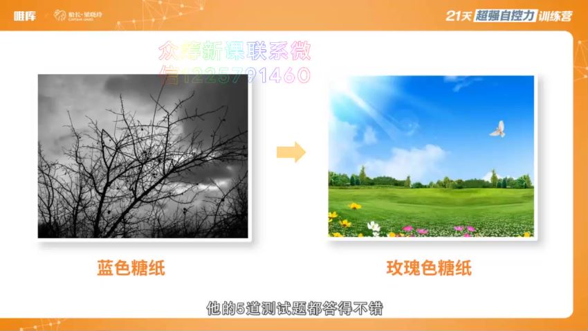21天超强自控力训练营：教你一步步蜕变，掌握人生（完结），网盘下载(228.85M)