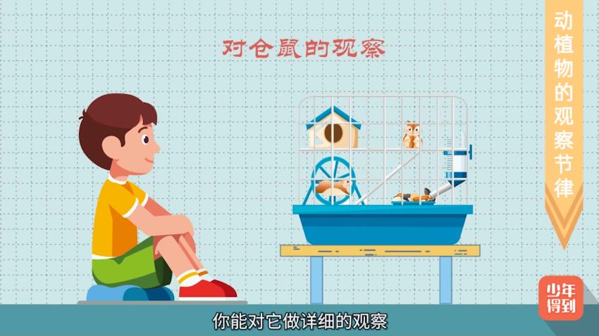 少年得到：【完结】小学新教材作文通关丨日记周记，网盘下载(1.18G)