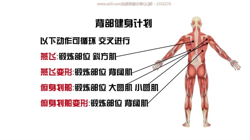 10节课帅大叔陪你瘦十斤 ，网盘下载(567.15M)