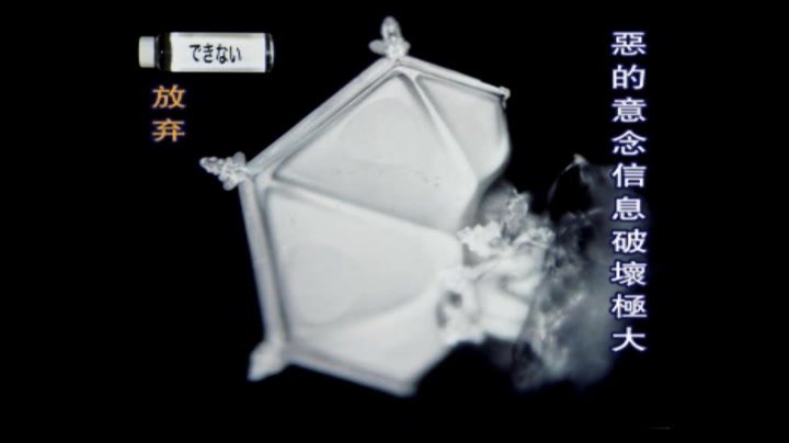 ESP第六感合集，网盘下载(28.73G)