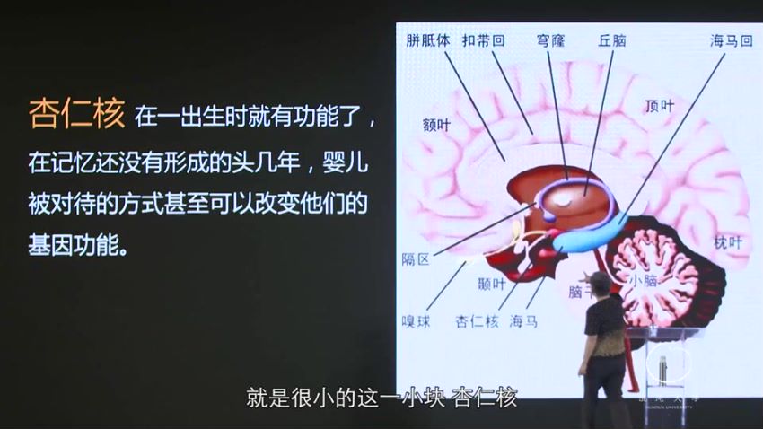 混沌大学(文理学院)：洪兰《情绪与决策》，网盘下载(467.88M)