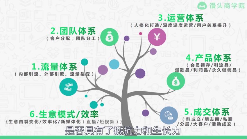 麦子·企业运营增长全攻略，网盘下载(2.91G)
