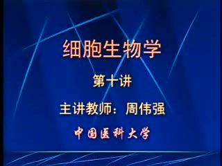 中国医科大学 细胞生物学 30讲 ，网盘下载(4.58G)