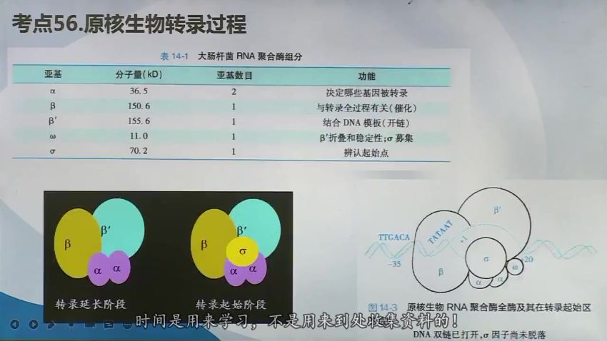 2023考研西医综合：【必做真题】改命-真题集训！，网盘下载(168.80G)