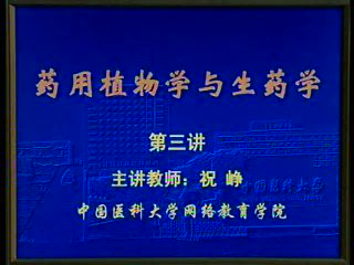 中国医科大学 生药学 全48讲 ，网盘下载(6.34G)