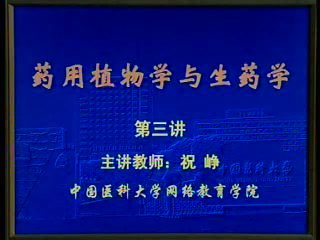 中国医科大学 生药学 全48讲 ，网盘下载(6.34G)