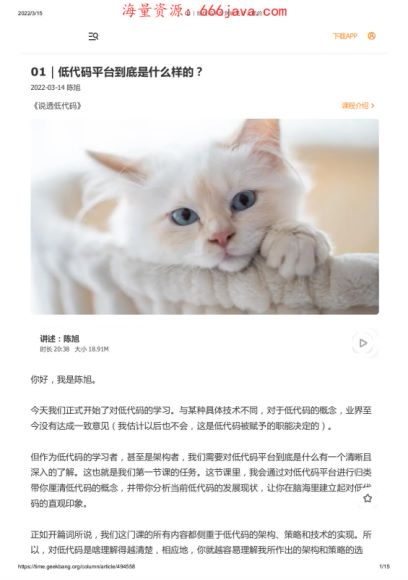 说透低代码，网盘下载(198.05M)