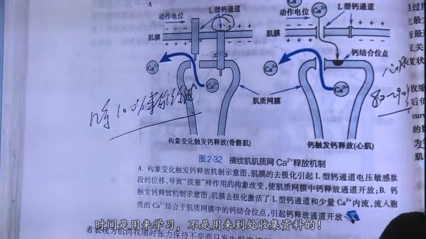 2023考研西医综合：【名师精品】改命-冲刺课程！，网盘下载(102.88G)