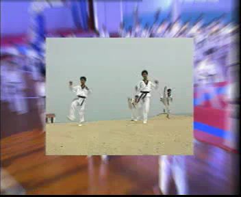 跆拳道视频教程 ，网盘下载(260.21M)