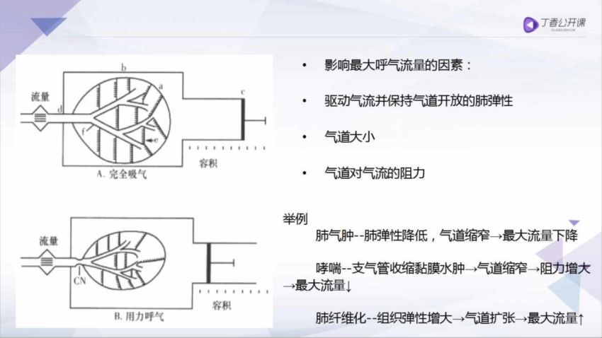 丁香园：手把手教你读懂肺功能测定【共9节】【全】【248元】，网盘下载(537.08M)