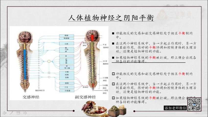 乔治良中医入门必修《中医基础理论-如树之根，楼之地基。系统全面听懂导师全程指导，网盘下载(30.86G)