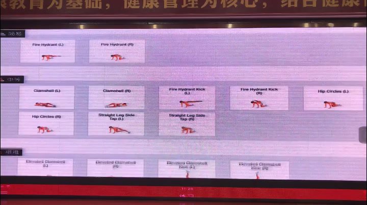 李哲老师触诊面授班视频 13.4G，网盘下载(13.41G)