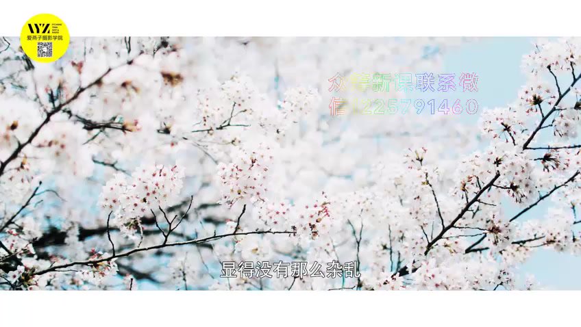 爱燕子学院·摄影综合课（完结），网盘下载(8.17G)