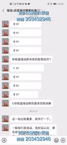 兽爷淘宝蓝海C店终极玩法基础课，网盘下载(178.47M)