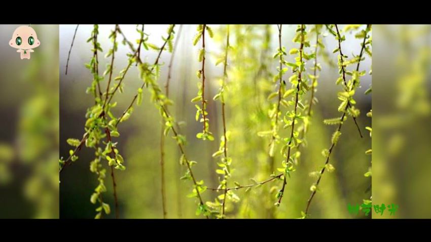 绘画教程：玩转水墨 24节气，网盘下载(589.35M)