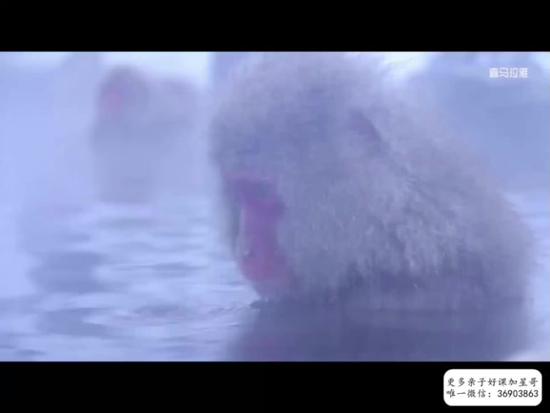 喜马拉雅少儿：国家地理：小探险家地球拯救计划（双语），网盘下载(945.85M)