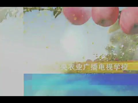 蜜蜂养殖技术教程 ，网盘下载(2.84G)