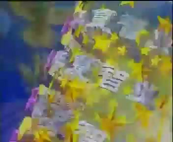 曾仕强：曾仕强-个人管理系列，网盘下载(14.36G)